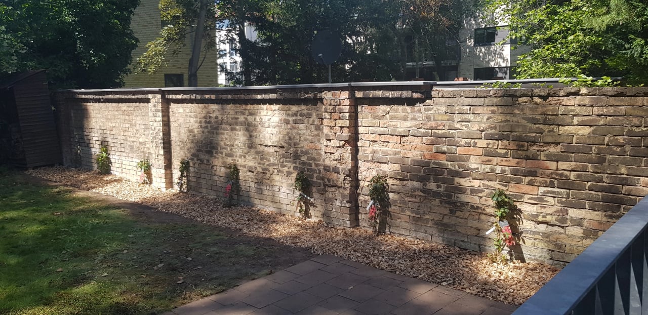Baumpflege