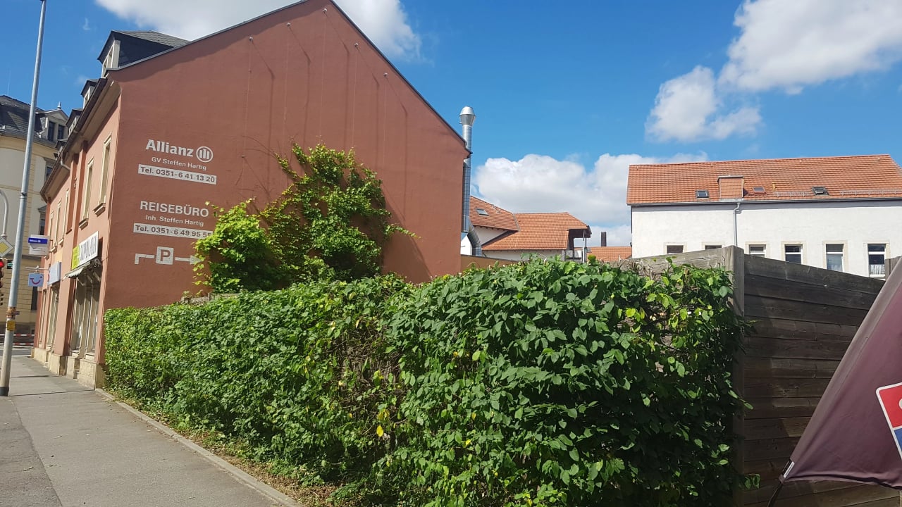 Gartengestaltung Garten und Landschaftsbau